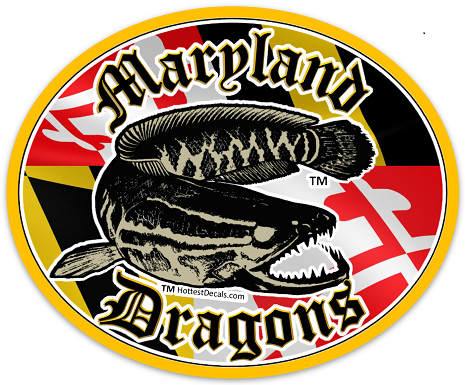 Maryland Dragons Fish Decal