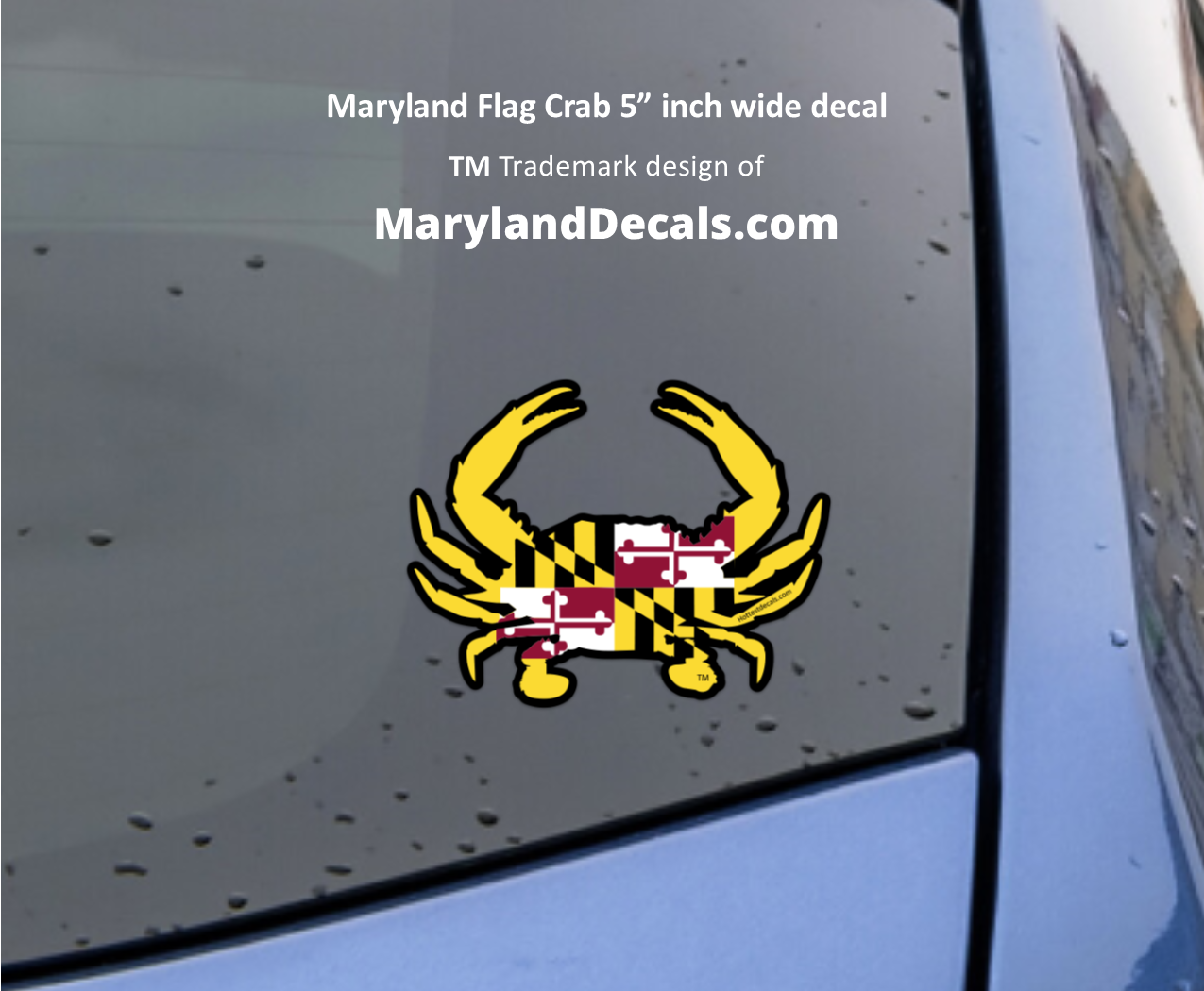 Maryland Crab decal