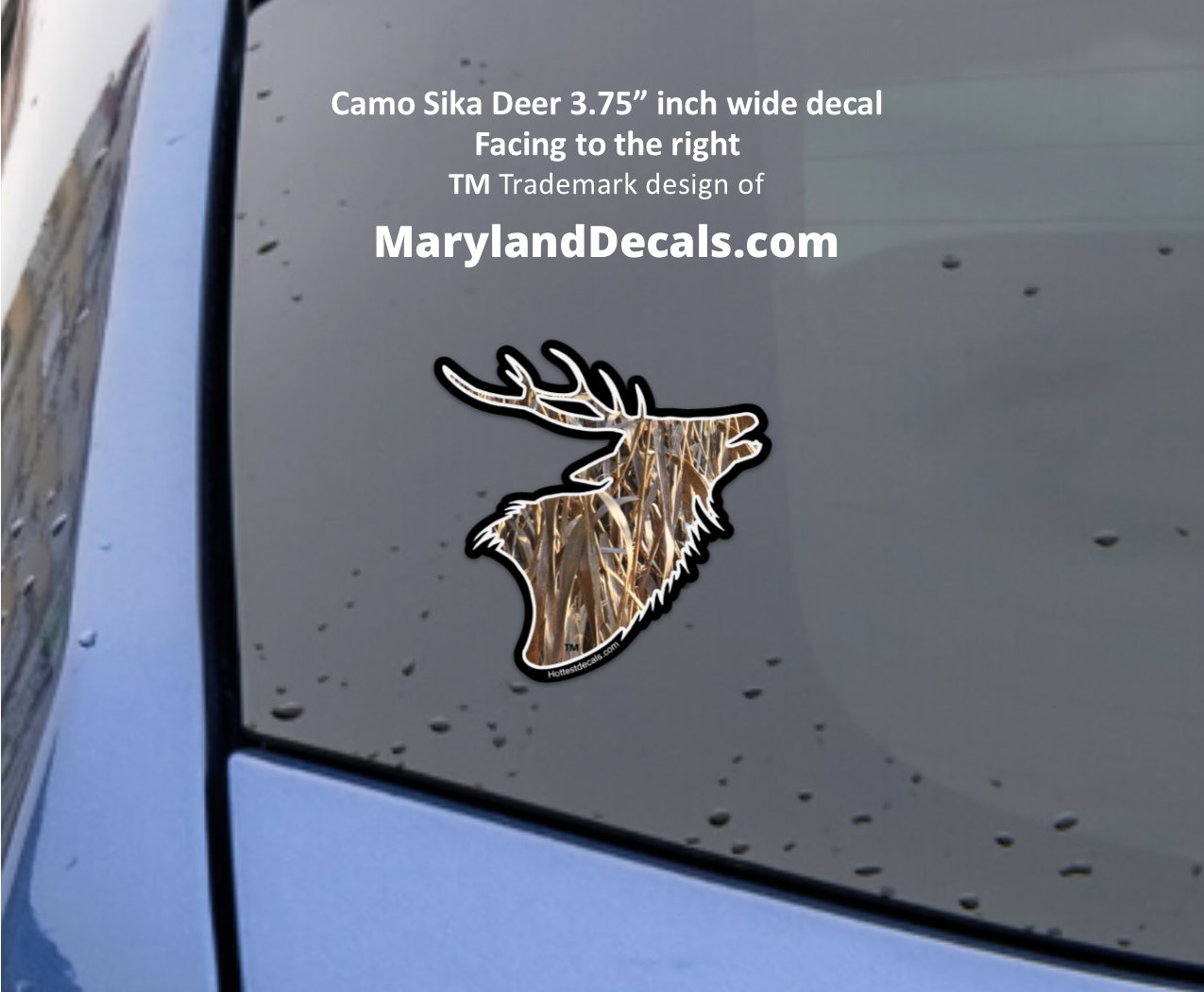 SIKA DEER Decals Hats - Maryland Decals Stickers Magnets Hats