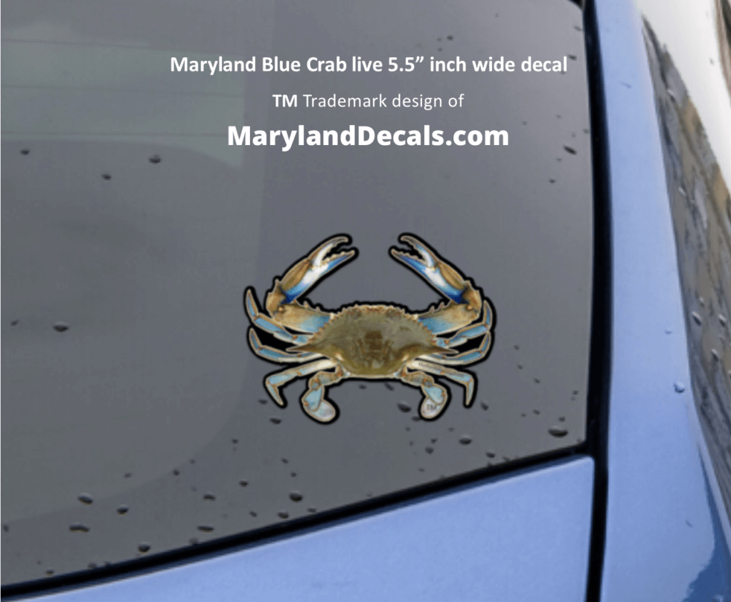 blue crab car decal