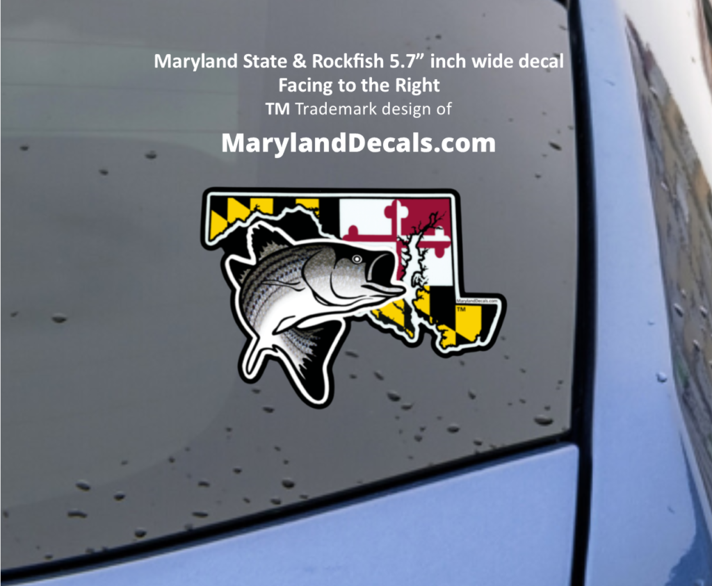 Maryland Striped Bass & Maryland Flag combo MarylandDecals.com