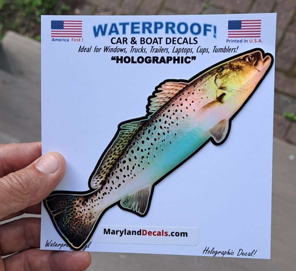 SPECKLED TROUT SICKER DECAL